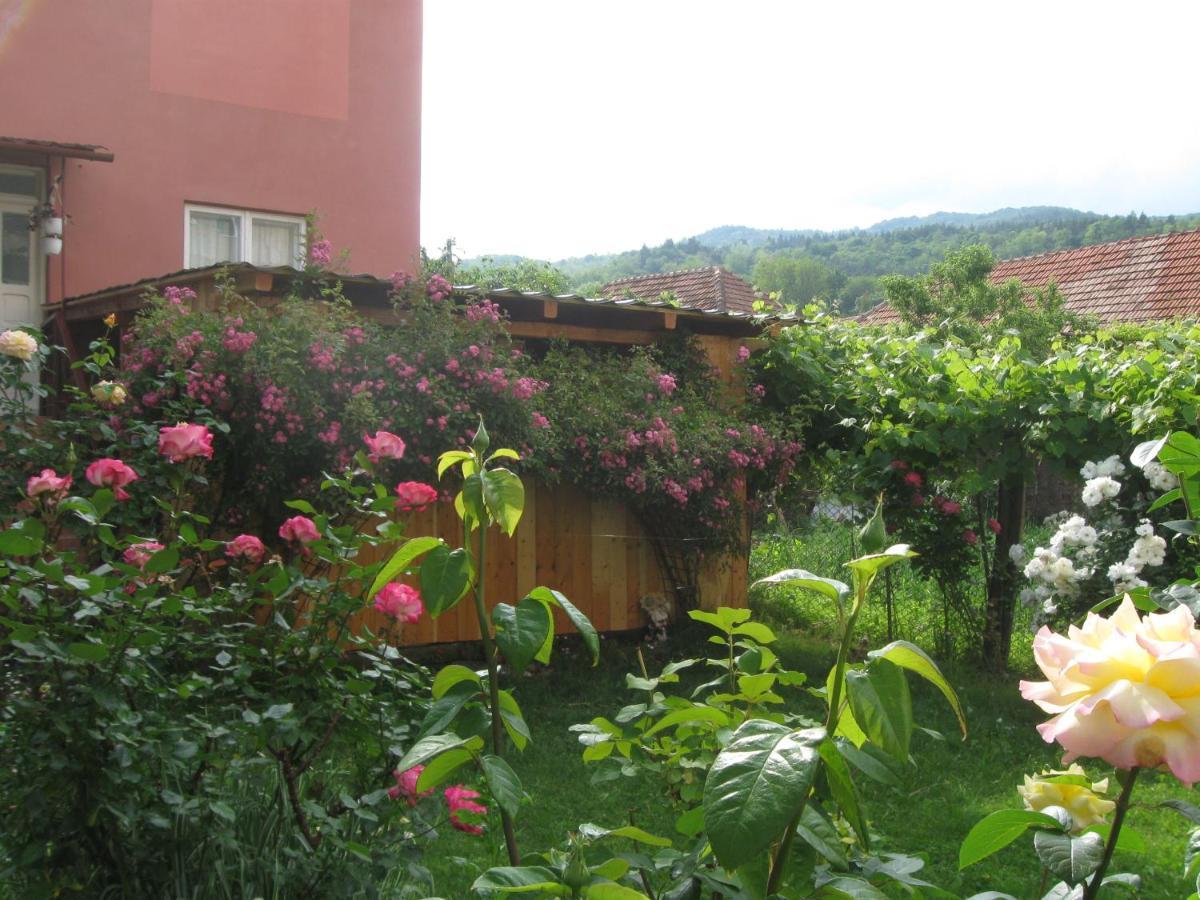 Casa Fabrizio Hotel คาลิมาเนช ภายนอก รูปภาพ