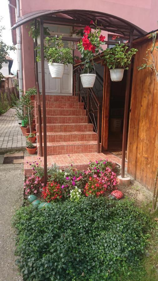 Casa Fabrizio Hotel คาลิมาเนช ภายนอก รูปภาพ