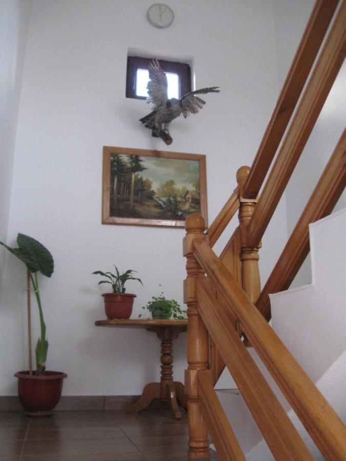 Casa Fabrizio Hotel คาลิมาเนช ภายนอก รูปภาพ